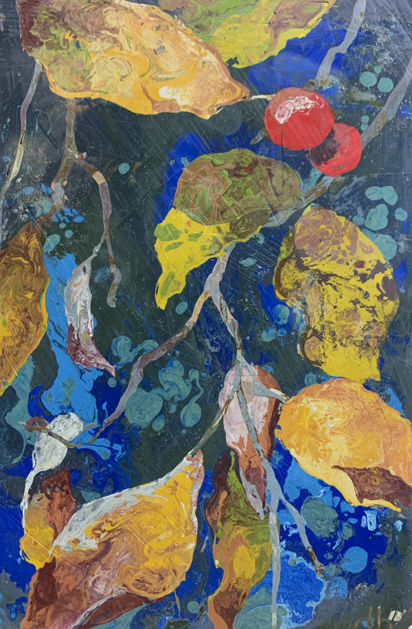 Dana Brown, Catherine Creek