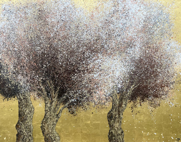 Claire et Siri, Racines A557