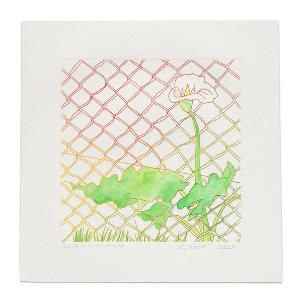 Lisa Rock, Calla Lily with Chainlink, 2023