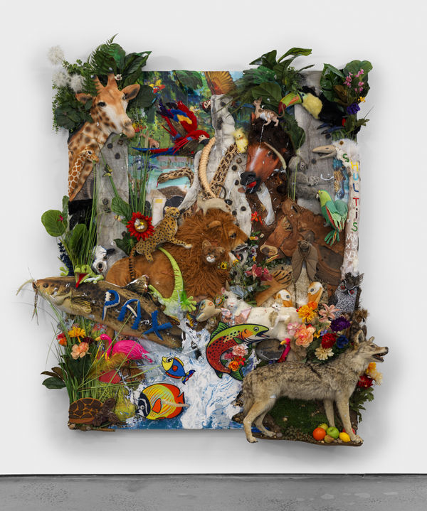 Mike Shultis, Pax, 2026