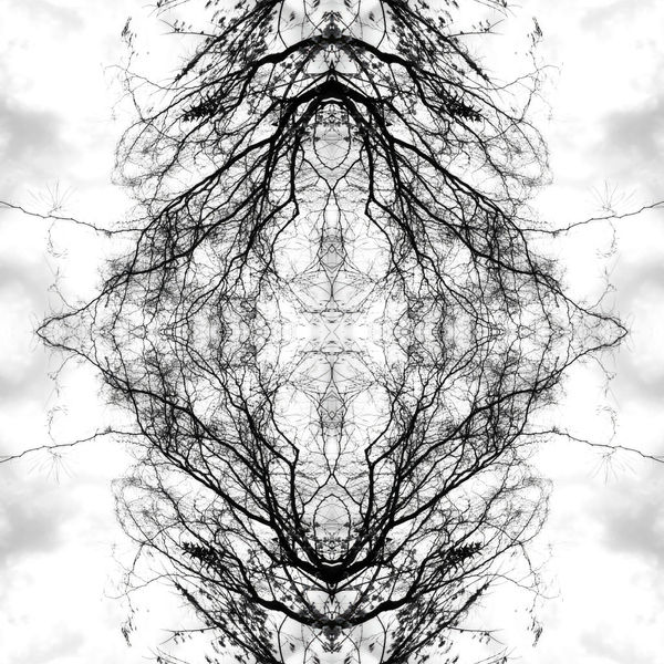 Teresa Cruz Elton, Dark series Nro 342, 2022