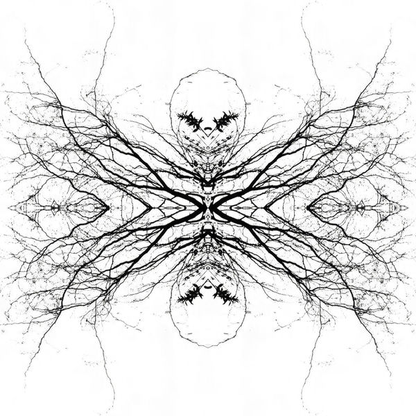 Teresa Cruz Elton, Dark series Nro 342, 2022