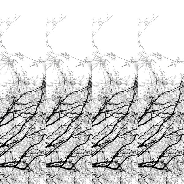 Teresa Cruz Elton, Dark series Nro 342, 2022