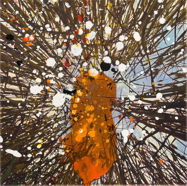 Mota Montero, Natura Nro 006, 2023