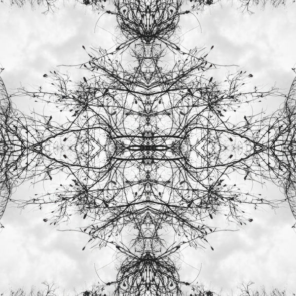 Teresa Cruz Elton, Dark series Nro 342, 2022