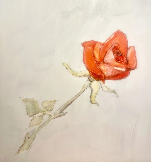 Mathias Klotz, rose_, 2022