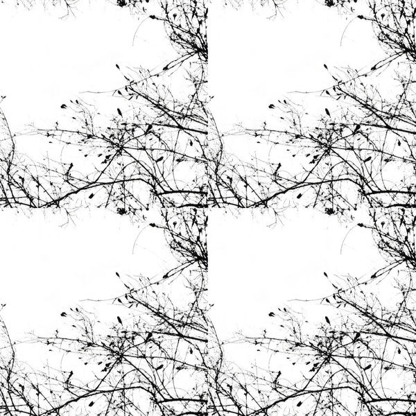 Teresa Cruz Elton, Dark series Nro 342, 2022