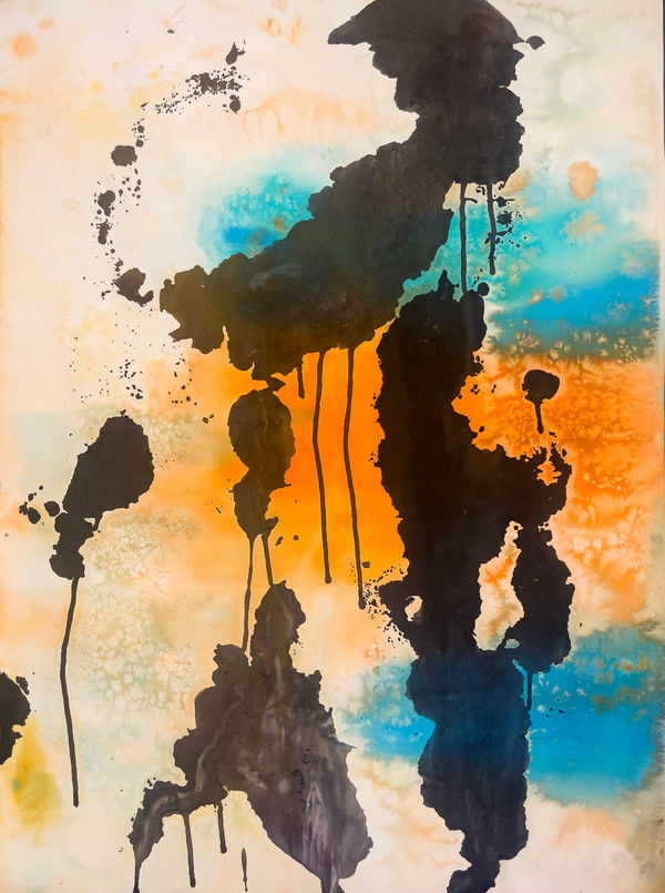 Mota Montero, bicolor_nro02343, 2024