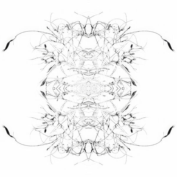 Teresa Cruz Elton, Dark series Nro 342, 2022