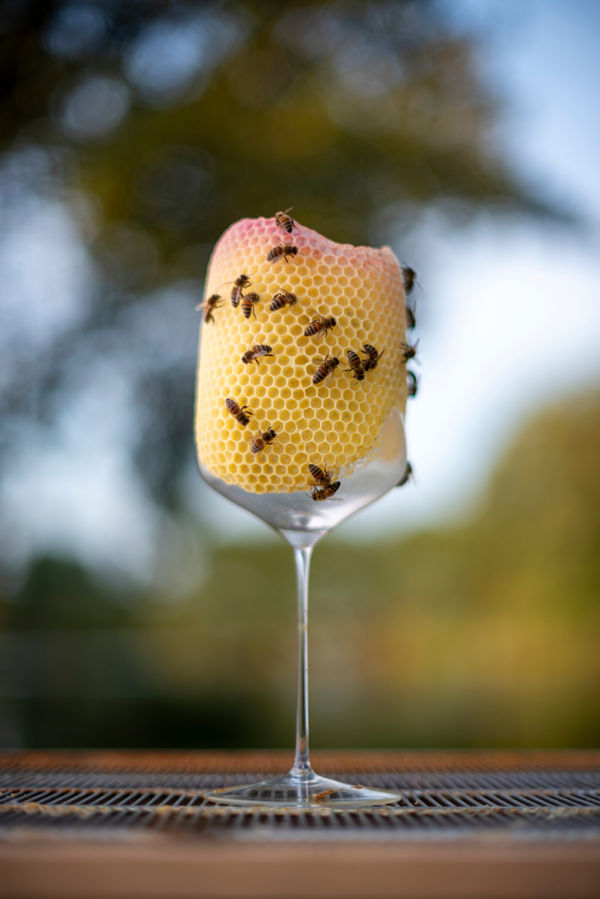 Tomáš Libertíny, Wine Glass III, 2024