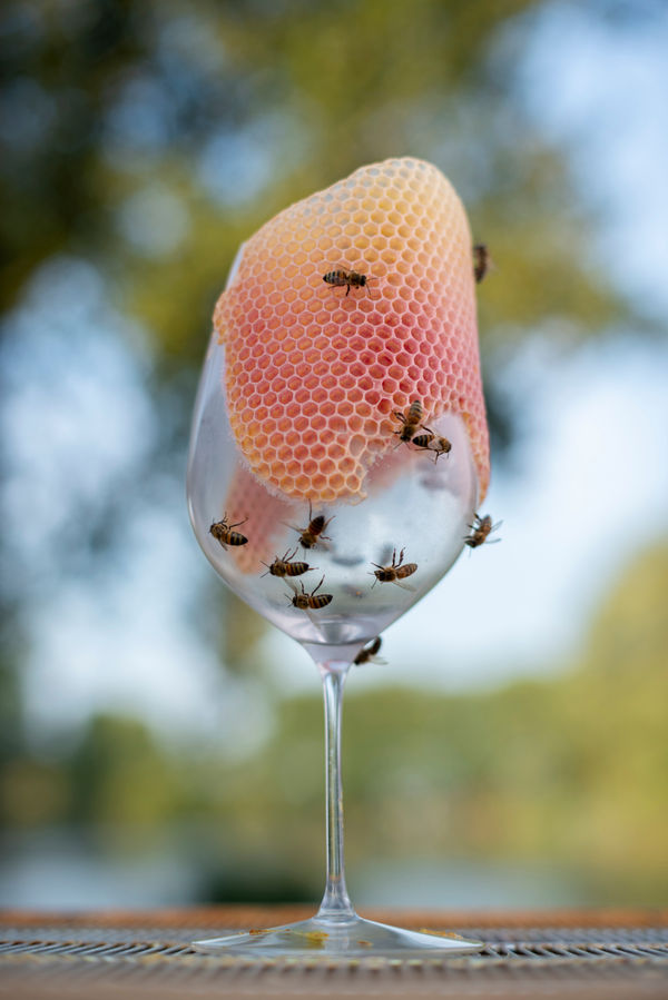 Tomáš Libertíny, Wine Glass II, 2024