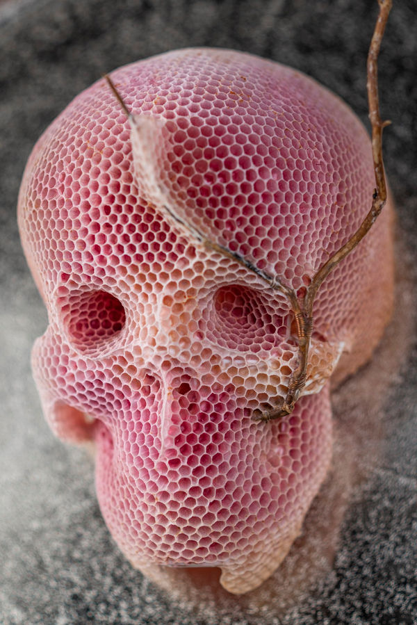 Tomáš Libertíny, Memento Vivere / Feed Your Head, 2022