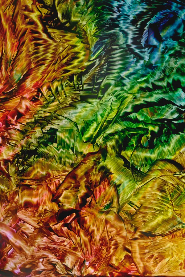 Rob Bouwman, Untitled