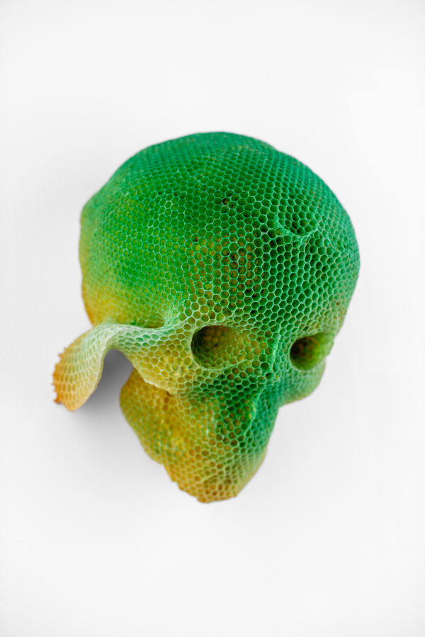 Tomáš Libertíny, Memento Vivere / Primavera, 2024