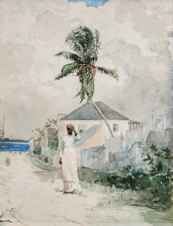 Winslow Homer Along the Road, the Bahamas (Near the Queen's Staircase), 1885