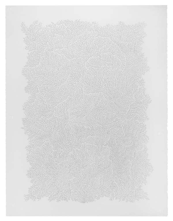 Jane Springwater, Refractions III, 2025