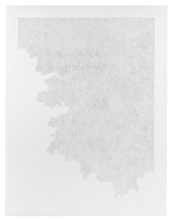 Jane Springwater, Refractions I, 2021