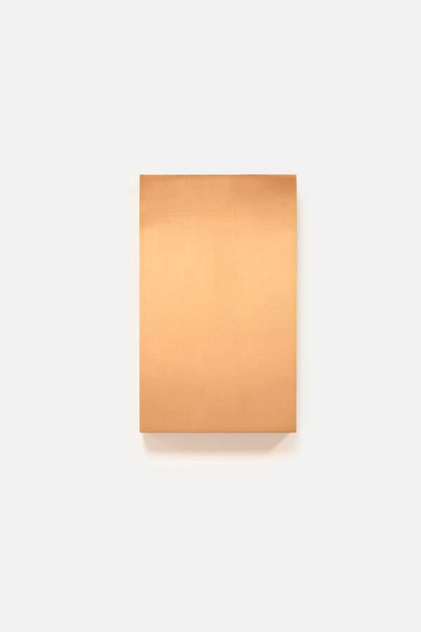 Afton Love, Ev'rything to be Believed (Box), 2025