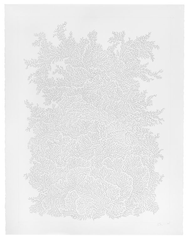 Jane Springwater, Refractions II, 2023