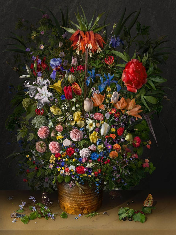 bas meeuws, Untitled #206, 2024