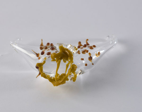 Floria Tosca Cabinet of Disappointments - Depression #9, 2024-25 Borosilicate glass 3 to 5cm dimensions variable