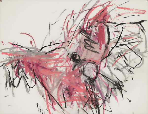 Jody Graham Glove drawing 2 - Galah, 2024 Charcoal and pastel on paper 28cm x 35cm