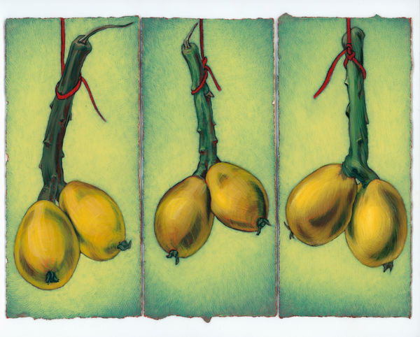 Kim Spooner Natural emblems to be proud of, 2025 Watercolour and gouache on cotton paper 21 x 29.7cm (19.5 x 8.4cm each panel)