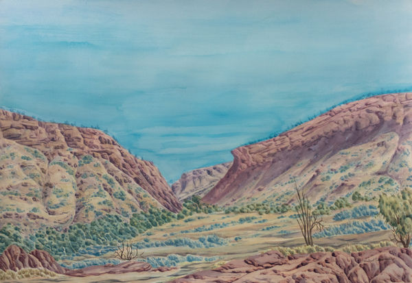 Kumantji (Hubert) Pareroultja Ntaripe, Cat no. 7-23, 2023 Watercolour on paper 71 x 101cm