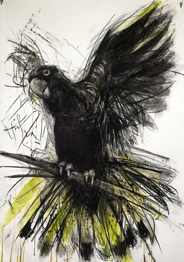 Jody Graham Head in the Clouds, 2024 Charcoal, acrylic and ink on paper 100cm x 70cm