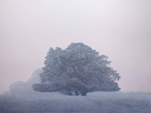 Kathryn Ryan Drift, 2023 oil on linen 137 x 183cm