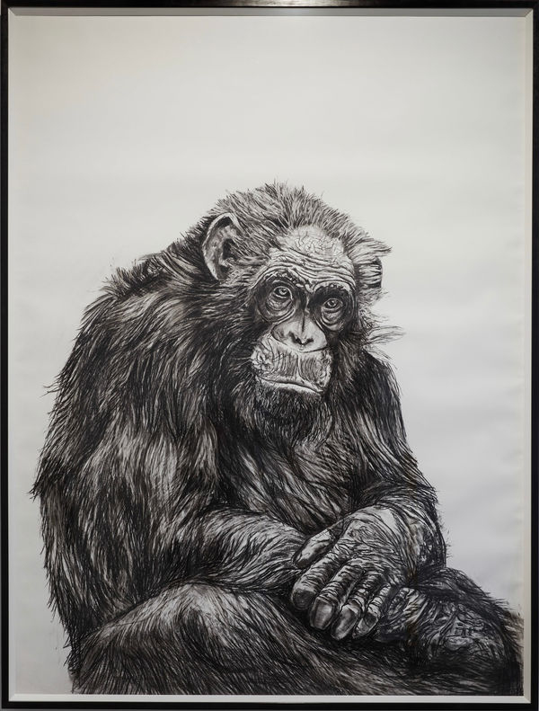 Floria Tosca There by the grace of God go I, 2025 Charcoal on paper 205 x 155cm