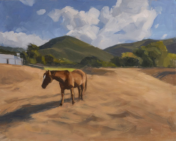 Marie Mansfield Near Ruebens Trail , 2022 Oil on Board 41 x 51cm