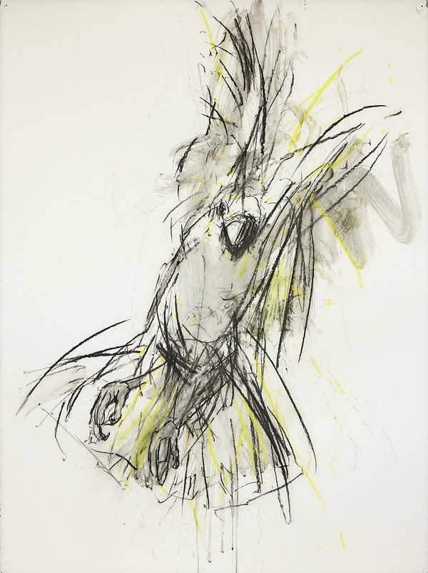 Jody Graham Sky High, 2024 Charcoal and pastel on paper 76cm x 56cm