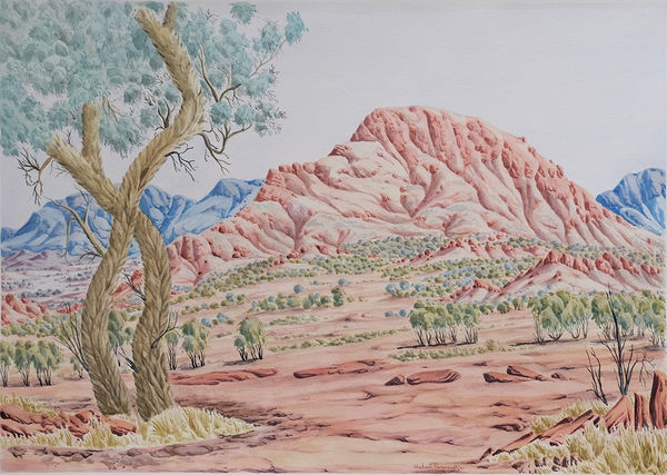 Kumantji (Hubert) Pareroultja Corkwood Tree at Mount Giles, NT (Cat no:334-22), 2022 Watercolour on paper 71 x 101cm paper size 102.5 x 131.5cm framed