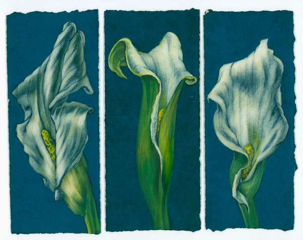 Kim Spooner Magical romantic love, 2025 Watercolour and gouache on cotton paper 21 x 29.7cm (19.5 x 8.4cm each panel)