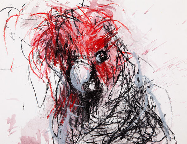 Jody Graham Glove drawing 1 - Gang-Gang Cockatoo, 2024 Charcoal and pastel on paper 28cm x 35cm