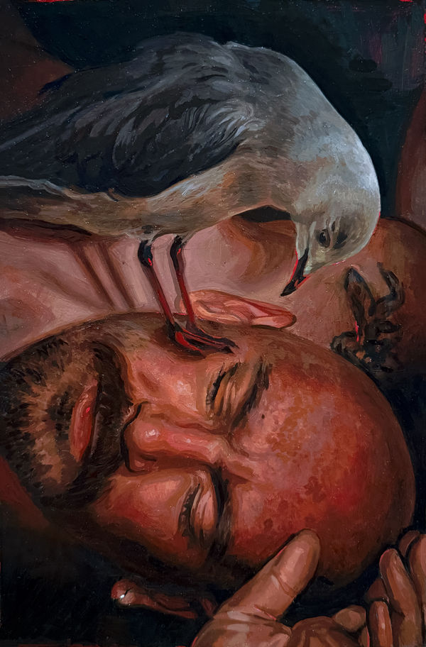 Melissa Clements Lobotomy of a Seagull, 2026 Oil on gessoed panel 30 x 20cm