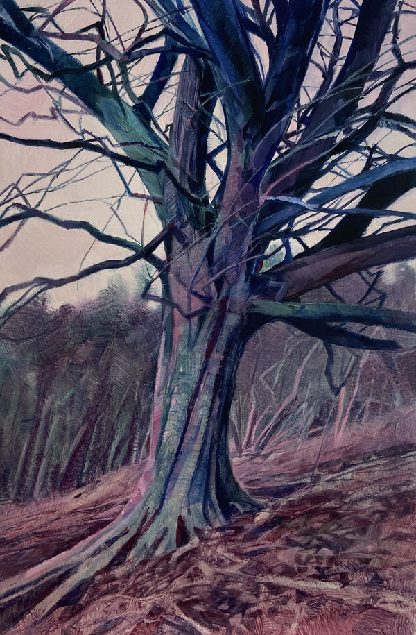 Nicholas Blowers Winter Tree II, Yorkshire, 2025 Oil on gessoed panel 30 x 25cm