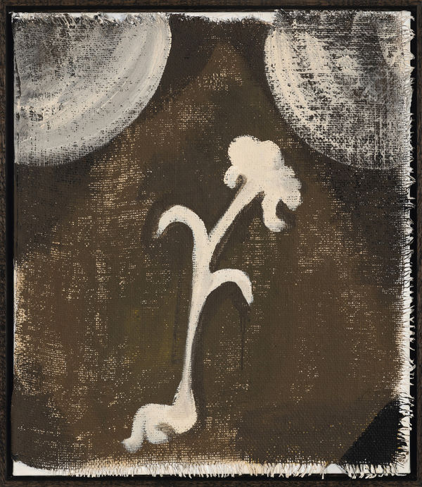 Lottie Consalvo, Gentle light, 2026