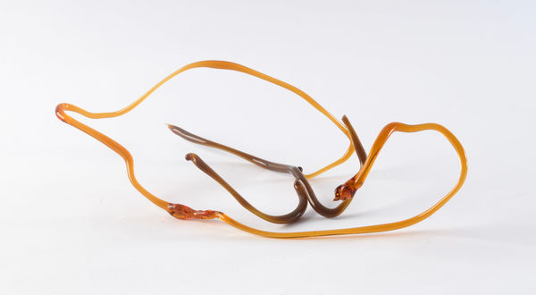 Floria Tosca Cabinet of Trusted Cures #4, 2024-25 Borosilicate glass 10 x 22cm Dimensions variable