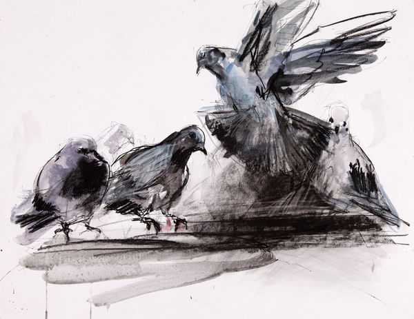 Jody Graham Resting place, 2022 61 x 76cm F