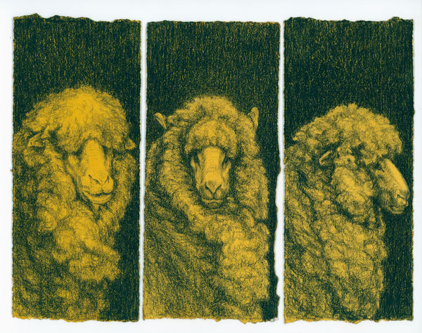 Kim Spooner Roaming the country, 2025 Watercolour and charcoal on cotton paper 21 x 29.7cm (19.5 x 8.4cm each panel)