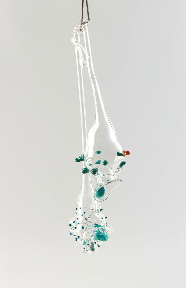 Floria Tosca Cabinet of Trusted Cures #7 Borosilicate glass 12 x 3cm dimensions variable