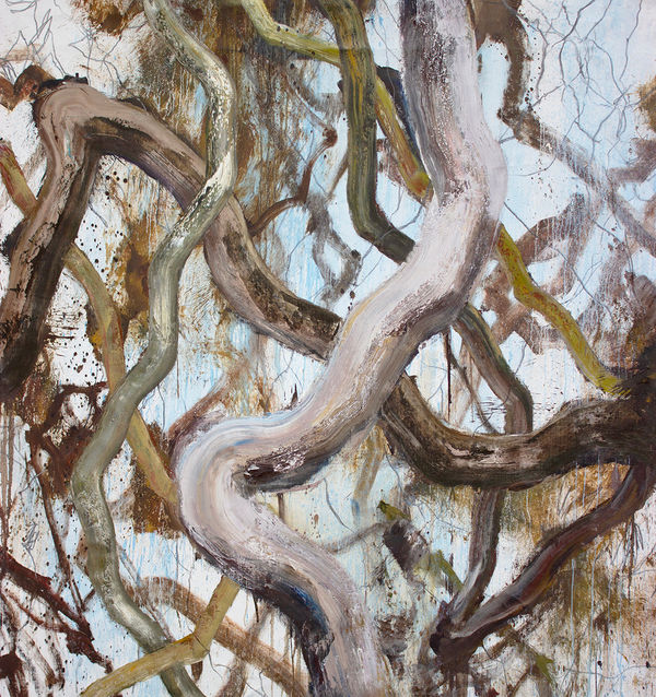 Brett McMahon Tree Study 2, 2025 Oil, acrylic and pencil on linen 190 x 190cm