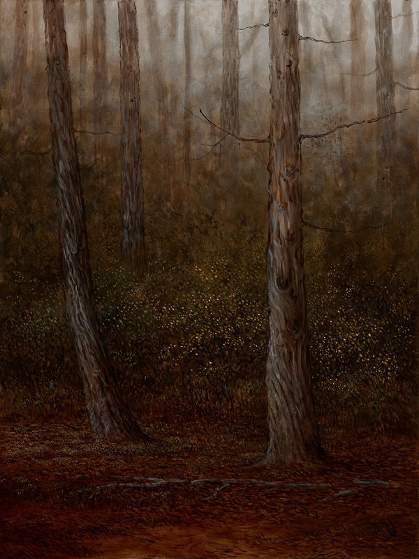 Adam Nudelman Cradle Mountain Forest, 2012 Oil on Linen 61 x 46cm