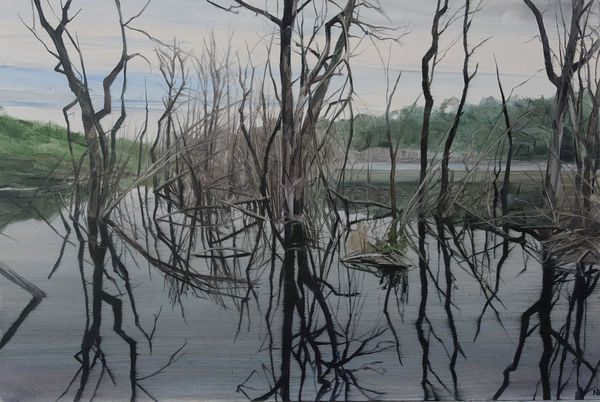 Nicholas Blowers Savage Pond V Study, 2018 Oil on Linen 30 x 45cm