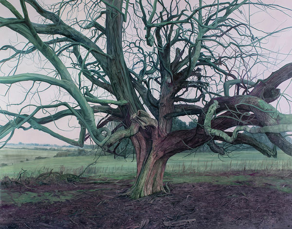 Nicholas Blowers Winter field boundary, 2022 Oil on Canvas 160 x 204cm