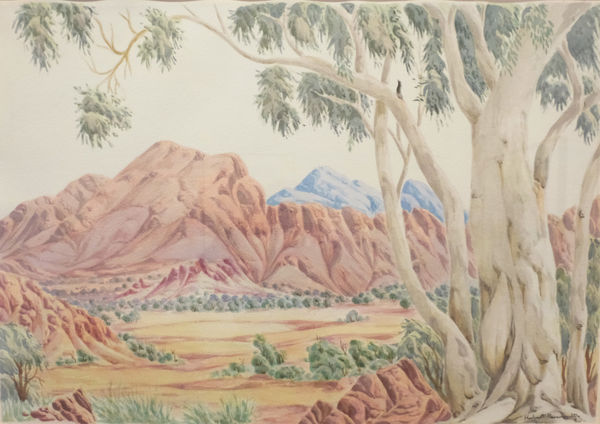 Kumantji (Hubert) Pareroultja, Ghost Gum in Central Australian Landscape, 2023