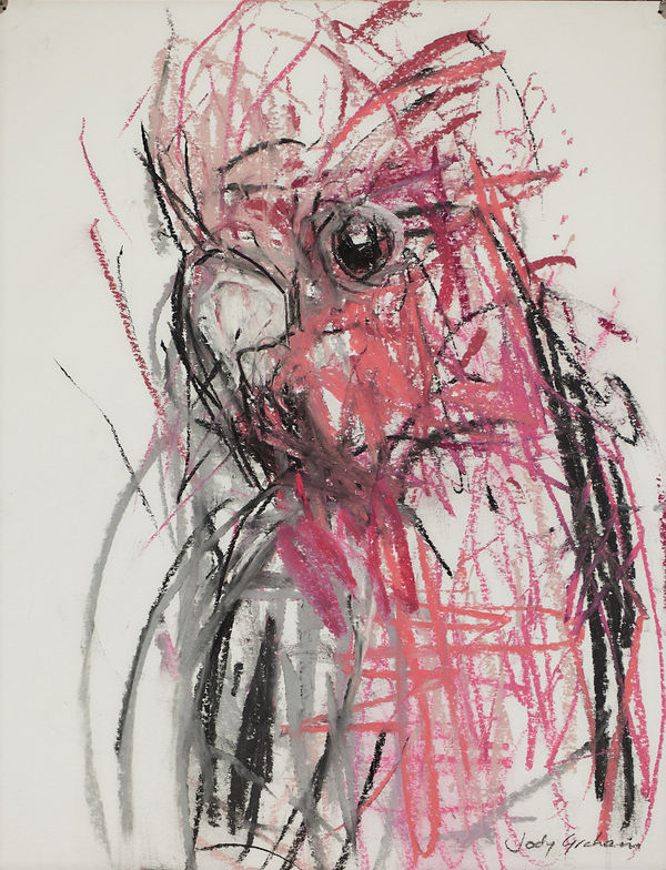 Jody Graham Glove drawing 9 - Galah, 2024 Charcoal and pastel on paper 35cm x 28cm