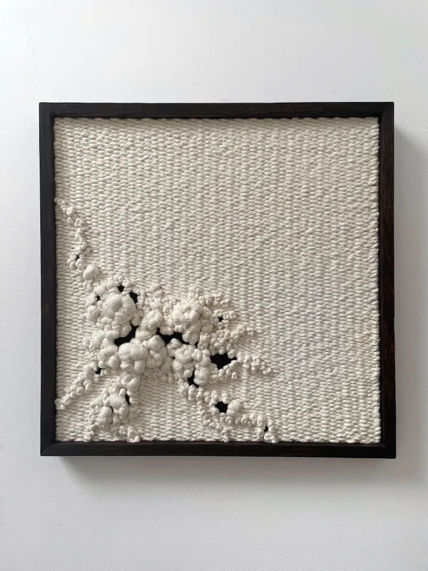 Elle Collins, Tide Pool 001, 2025